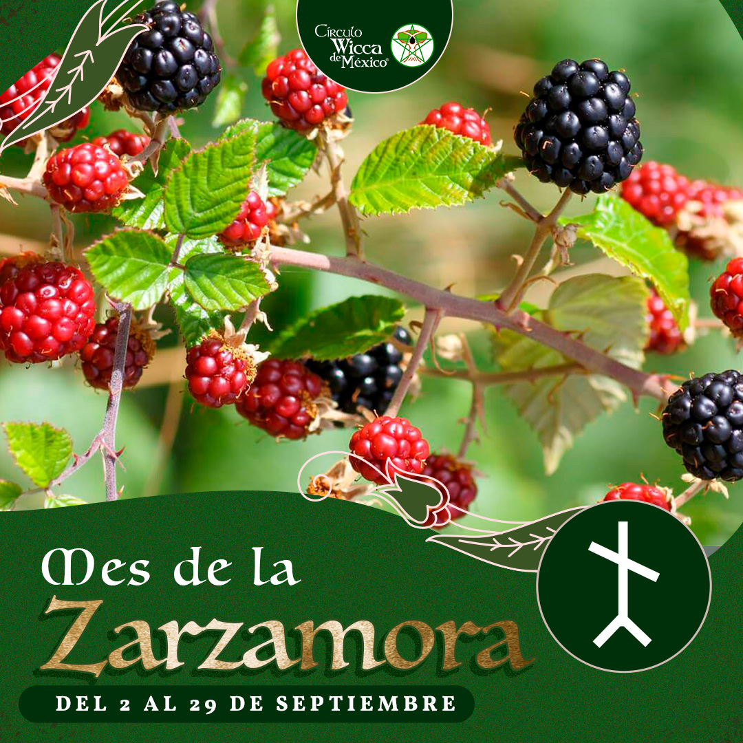 Banner Mes Ogham Zarzamora