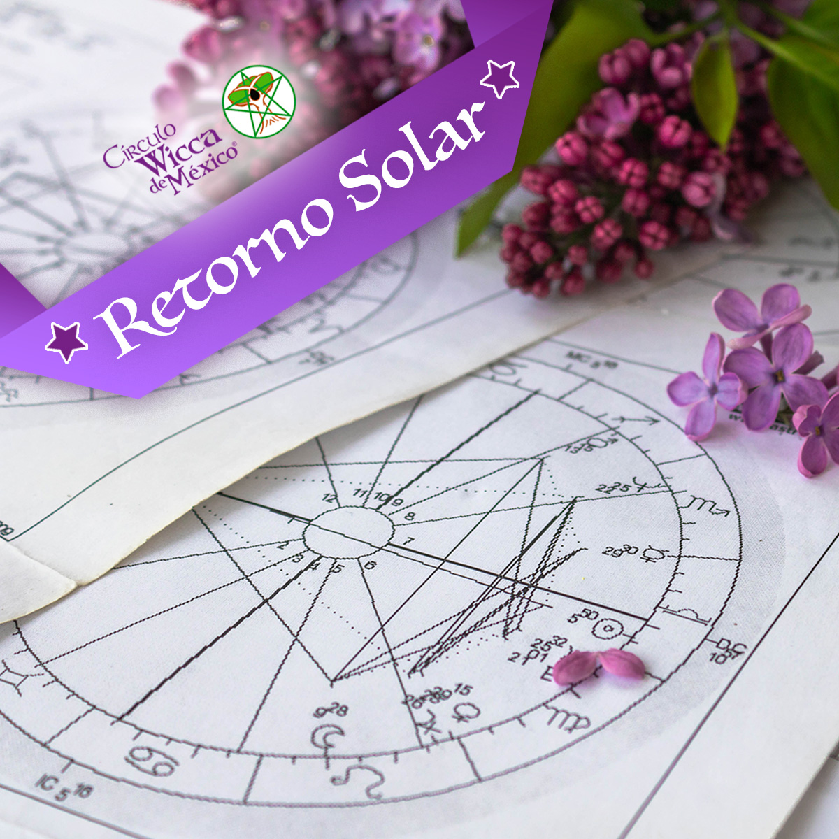 Producto RetornoSolar